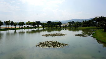 云南彌勒市 錦屏山 可邑小鎮 湖泉生態園 3日游記 2016背包族秋游系列之七 小田木作品