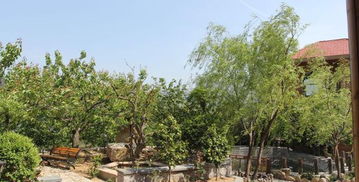 嶗山北宅迦南美地生態園門票,嶗山北宅迦南美地生態園門票預訂,嶗山北宅迦南美地生態園門票價格,去哪兒網門票