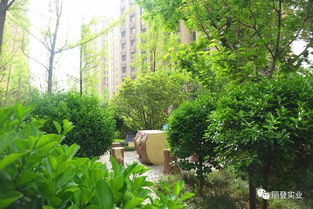 封頂大吉 熱烈慶祝麗登 印象城三期榮耀封頂