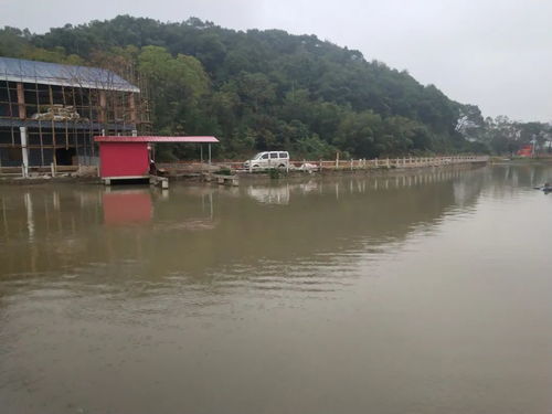 走進(jìn)央視拍攝全州十大碗之 龍水禾花魚(yú) 的聚龍生態(tài)園,感覺(jué)挺好