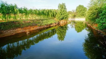 大新安又一個好玩的地兒 3000余畝的大型生態(tài)園,了解一下