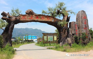 九龍?zhí)渡鷳B(tài)園大門景觀的獨特魅力