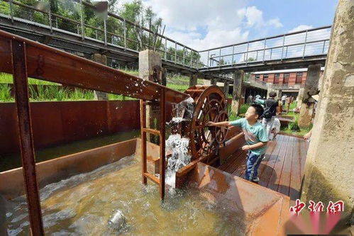 從工業(yè)銹帶到生活秀帶 吉林九龍?zhí)渡鷳B(tài)園讓老工業(yè)遺址“活”起來(lái)