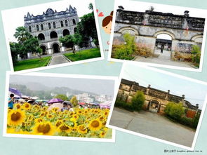 清新、自然，暢聽(tīng)未來(lái)——武宣環(huán)豐生態(tài)園與九龍?zhí)渡鷳B(tài)園的生態(tài)之旅