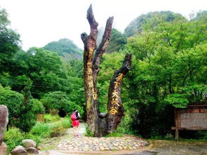 16周歲以下免票游世遺，668元泰寧雙動(dòng)車2日游 大金湖、寨下大峽谷、九龍?zhí)?、尚書第全覽