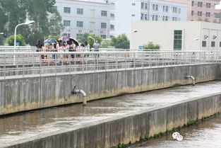 2016市民環(huán)保開放日 走進(jìn)污水處理廠與濕地，共筑綠色東部生態(tài)園——九龍?zhí)渡鷳B(tài)園活動(dòng)回顧